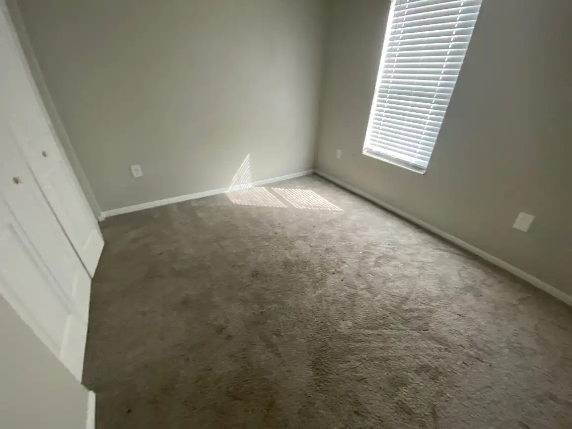 Deep-cleaned carpeted room in a Huntsville, AL commercial facility