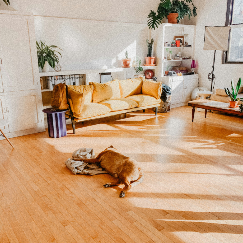 floor
