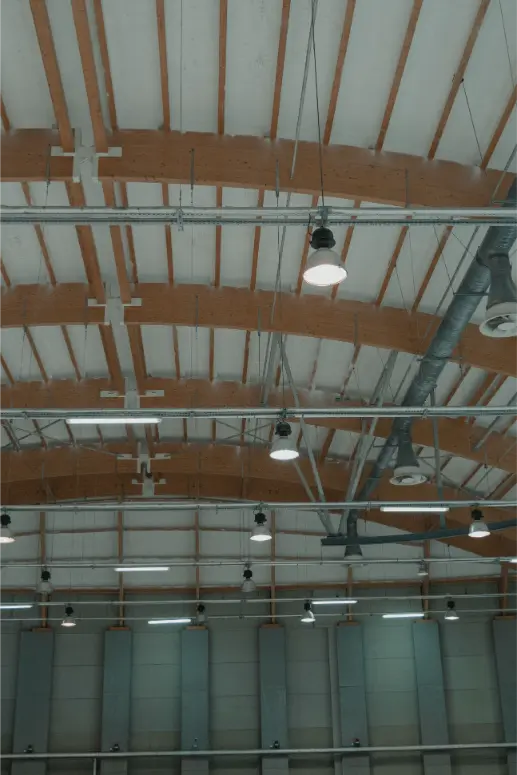 Stadium high bay ceiling at a Limestone County, AL venue included in the site agreement